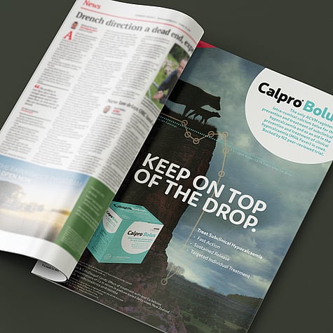 Magazine advertisement for Calpro Bolus with silhouetted image of cow and calf atop a cliff with large text "Keep on top of the drop".