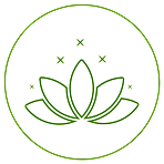 Yoga - Concession Card $150