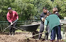 Vocational Programme