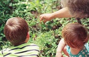 Grandparents parenting support Mangawhai