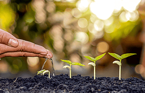 Navigating Change Wellbeing Programme