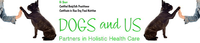 Di is a BodyTalk practitioner and a dog lover. Her practice is based in Tauranga but also offers distance sesions. She helps dogs and their owners by using biofeedback along with questions, creating a personalised session to assist self-healing.  Her belief is that as we are all multi-layered beings from the energetic to the physical, results can be experienced anywhere within this continuum.BodyTalk is compatible with other healing modalities, so if your innate intelligence calls for something else, the following may be included in your session e.g. Flower Essences (their meaning not the drops), Sacred Christed Energy symbology, messages from oracle cards etc. If you are receiving other treatments, BodyTalk will enhance the healing process.