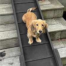 Custom-made Outdoor Ramp