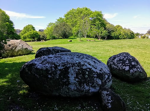 Home of Football | Newmarket Park, Auckland