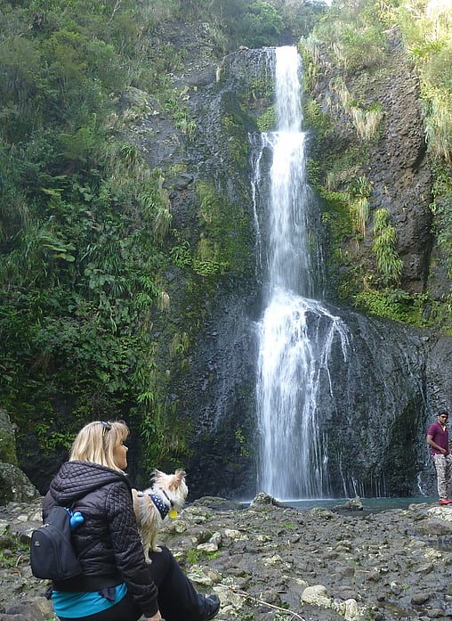 Kitekite Waterfall Piha | Auckland