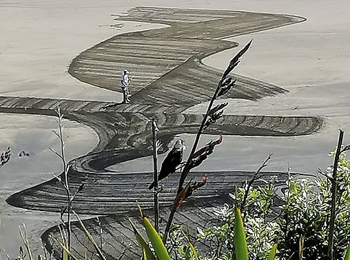 'Bansky' Beach Artist | West Coast Beach, Auckland