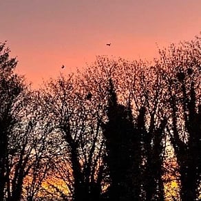 North Carrick sunset