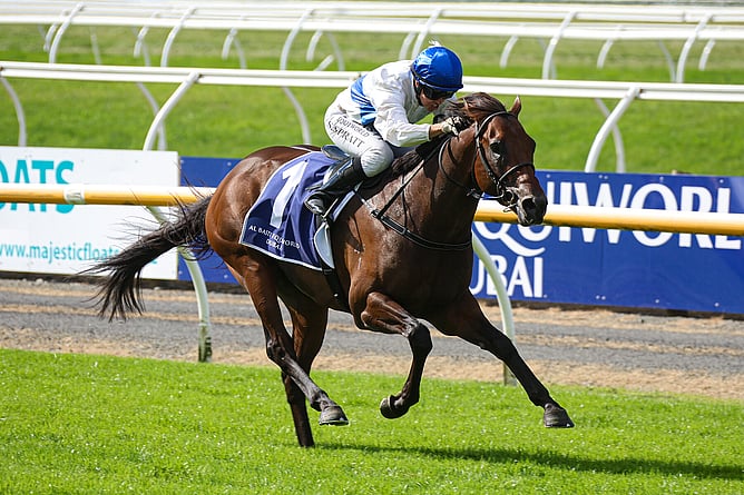 Group One winner Savaglee has been purchased by a syndicate headed by Windsor Park Stud, Mapperley Stud and Lion Rock Bloodstock.  - Photo: Race Images South