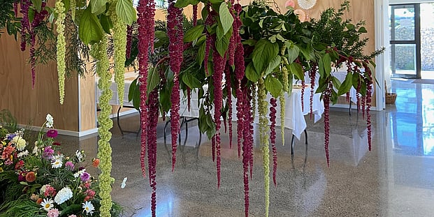 events, balls & memorials