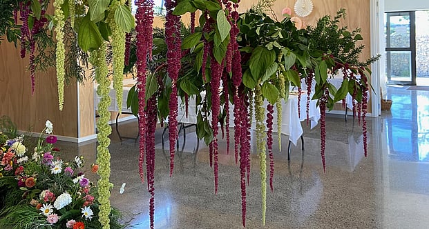 events, balls & memorials