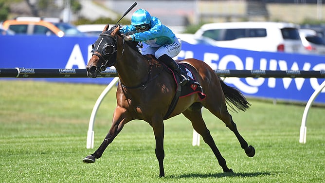 Sweynesday winning the Gr.3 Haunui Farm King&rsquo;s Plate (1200m) at Ellerslie. -  Photo: Kenton Wright (Race Images)