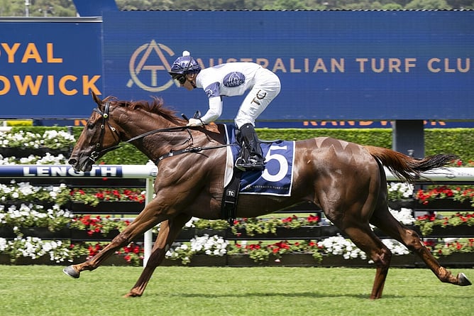 Campaldino charges home to win the Listed Randwick City Stakes (2000m) at Randwick. - Photo: Bradley Photos