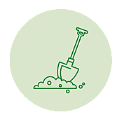 Casuarina | Soil Type | BH Horticulture