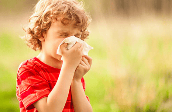 hayfever & allergies