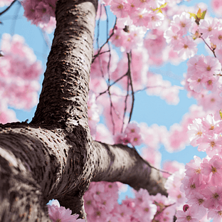 CRYSTALS FOR NEW BEGINNINGS BLOG