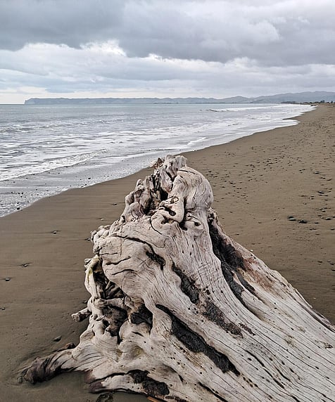 Rarangi Beach