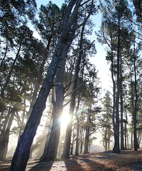 Rarangi Recreation Reserve