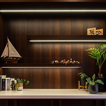 Dark timber shelving with lighting