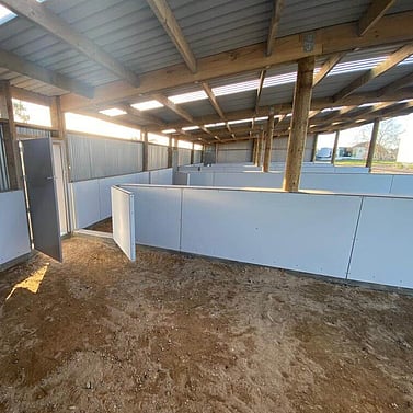 goat shed, farming building, pole shed, waikato shed, farm shed nz, build waikato, sheds nz