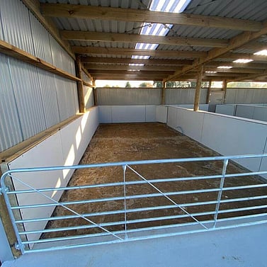 goat shed, farming building, pole shed, waikato shed, farm shed nz, build waikato, sheds nz