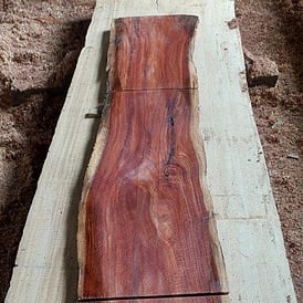 Pkt 1888-50-1  Tasmanian Blackwood March_25