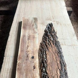 Pkt 1888-47_48 Tulip Sculp and Kahikatea Plank Feb_25