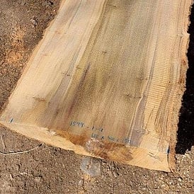 Tulip Slab 500x150 at Rarefind Timber