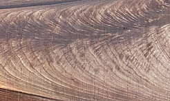 Rarefind Timber - Persian Walnut