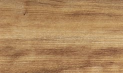 Rarefind Timber - Pukatea