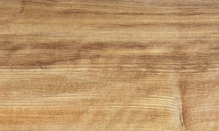 Rarefind Timber - Pukatea