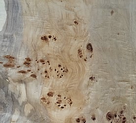 Rarefind Timber - Lombardy Poplar