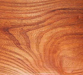 Rarefind Timber - Elm