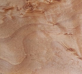 Rarefind Timber - European Beech