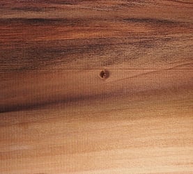 Rarefind Timber - Tulip Tree