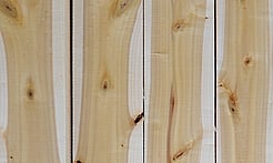 Rarefind Timber - Poplar Crowsnest