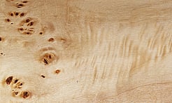 Rarefind Timber - Lombardy Poplar