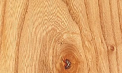 Rarefind Timber - Elm