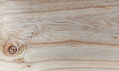 Rarefind Timber - Elm