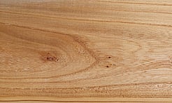 Rarefind Timber - Elm