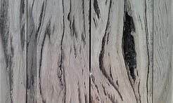 Rarefind Timber - Keno Gum