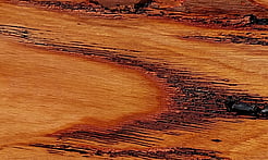 Rarefind Timber - Keno Gum