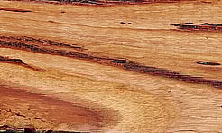 Rarefind Timber - Keno Gum