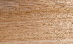 Rarefind Timber - Fastigata