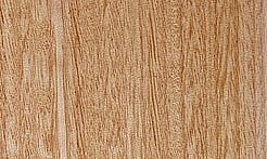 Rarefind Timber - Fastigata