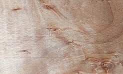 Rarefind Timber - European Beech