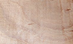 Rarefind Timber - European Beech