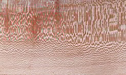 Rarefind Timber - London Plane