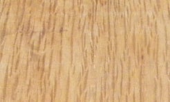 Rarefind Timber - Holm Oak