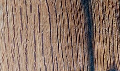 Rarefind Timber - Holm Oak