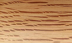 Rarefind Timber - Holm Oak